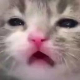 想吃螺蛳粉