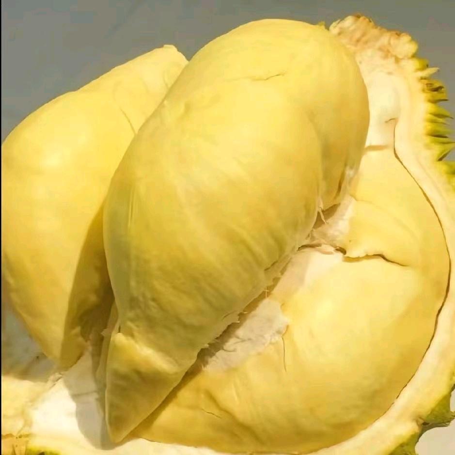鑫霏果仓优选