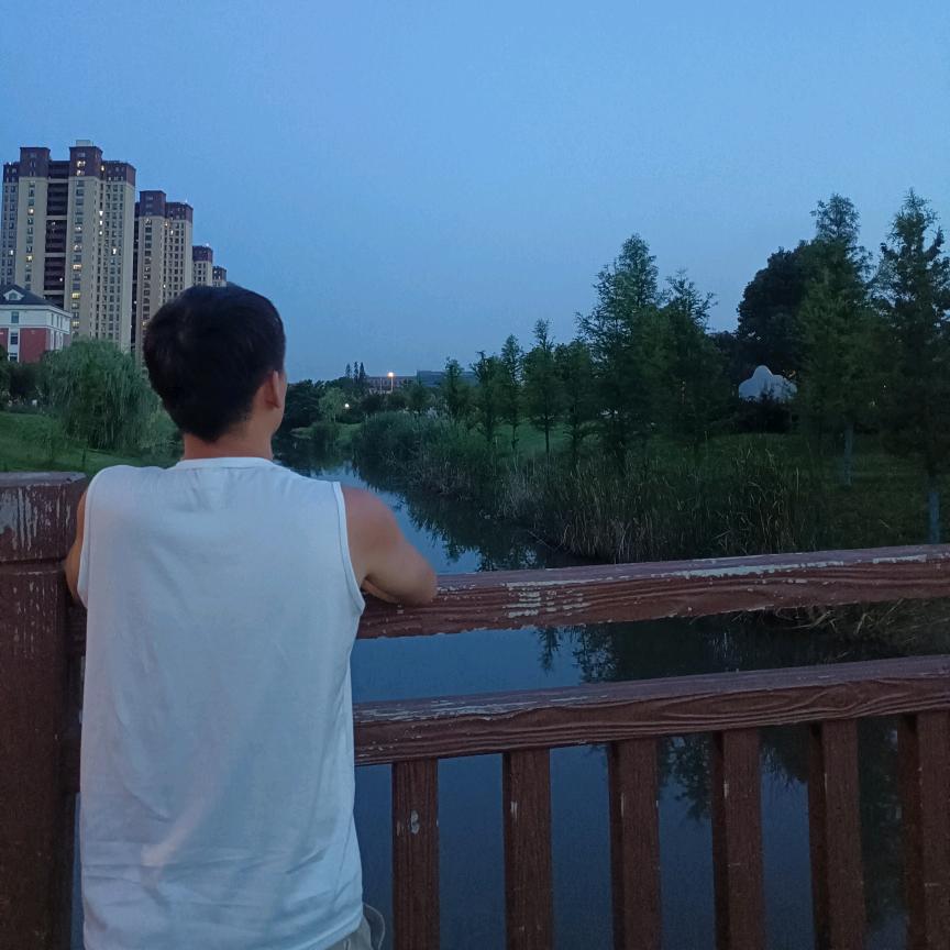 大森林
