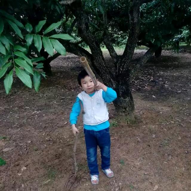 人生有几多个十年