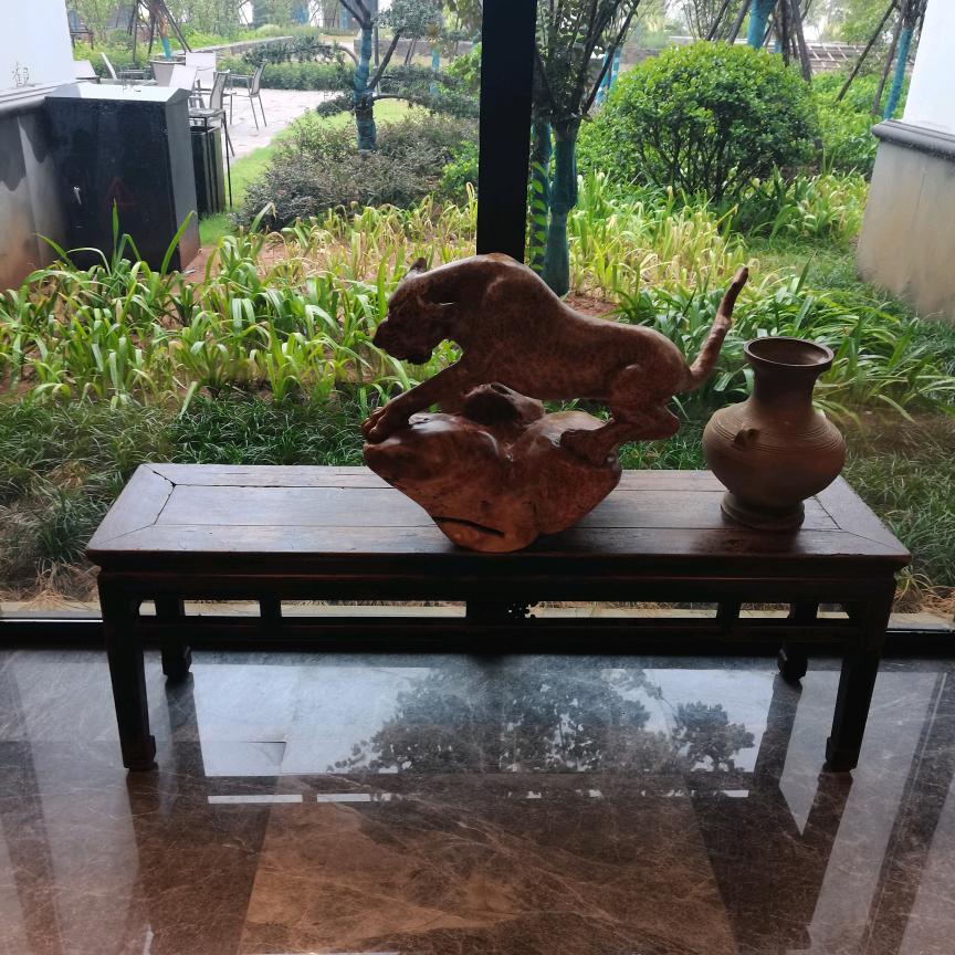 不恋水的鱼