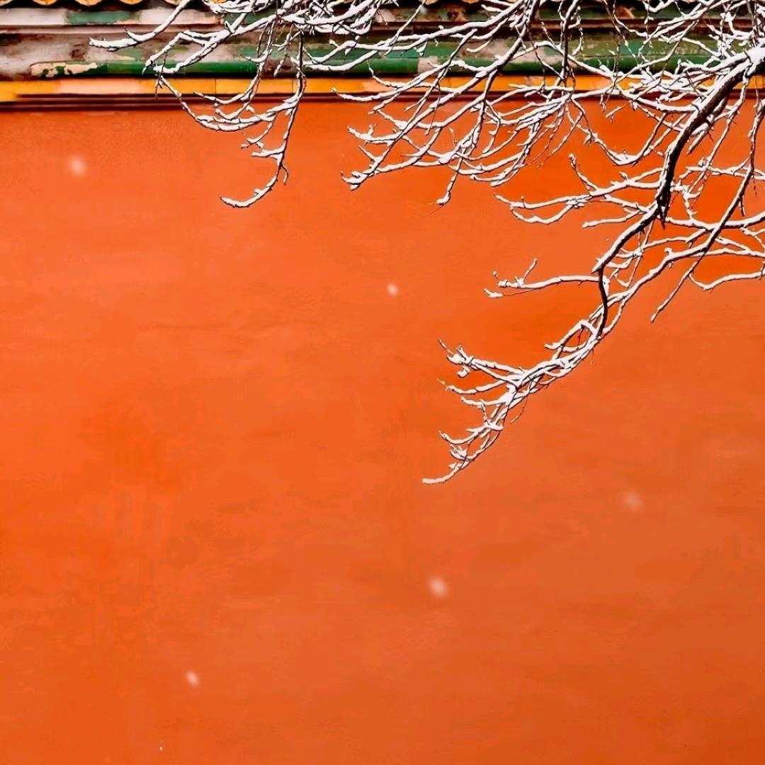 雨滴