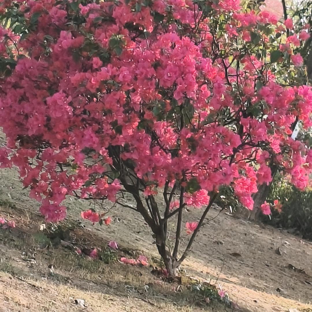 放飞自我。成就未来