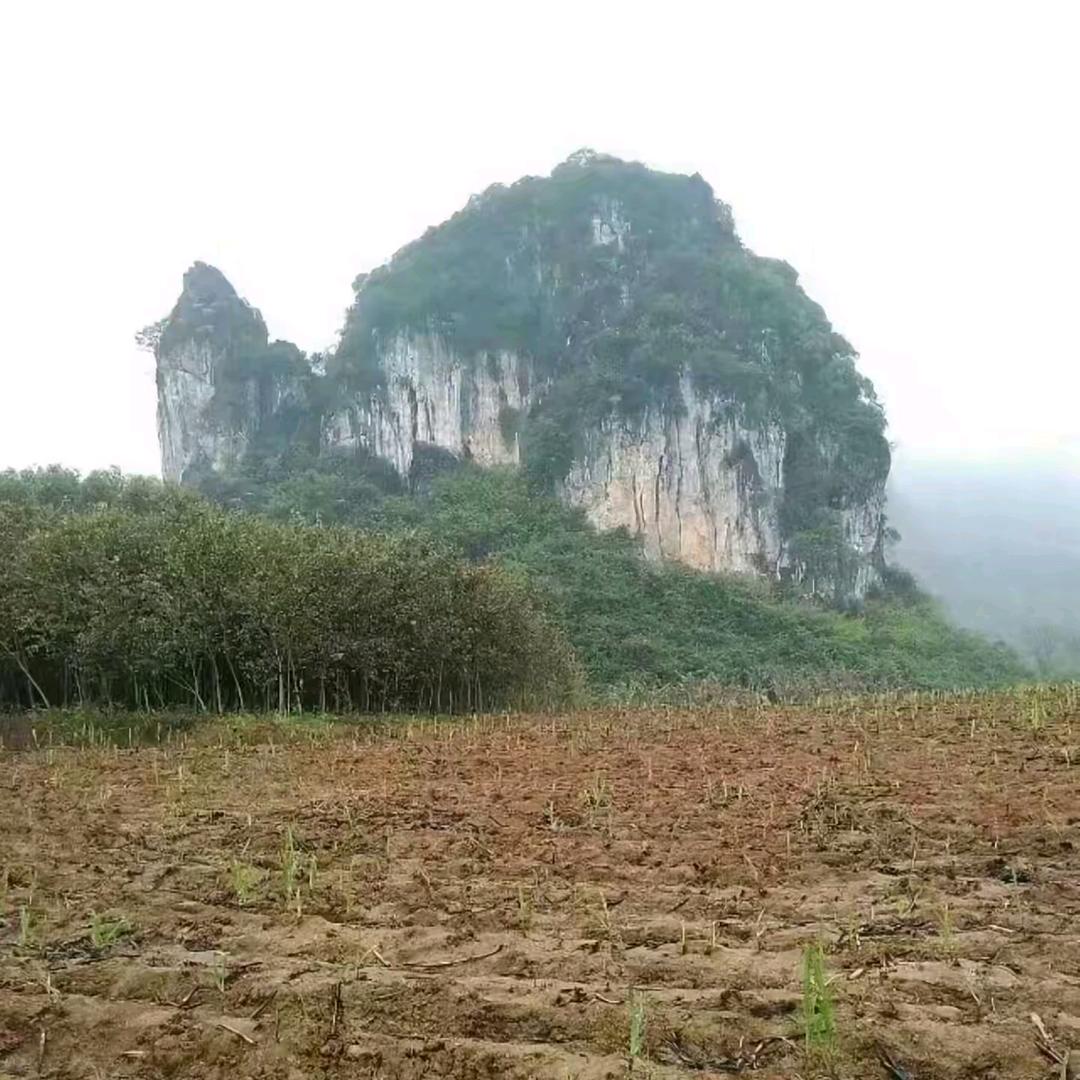 火丰阁