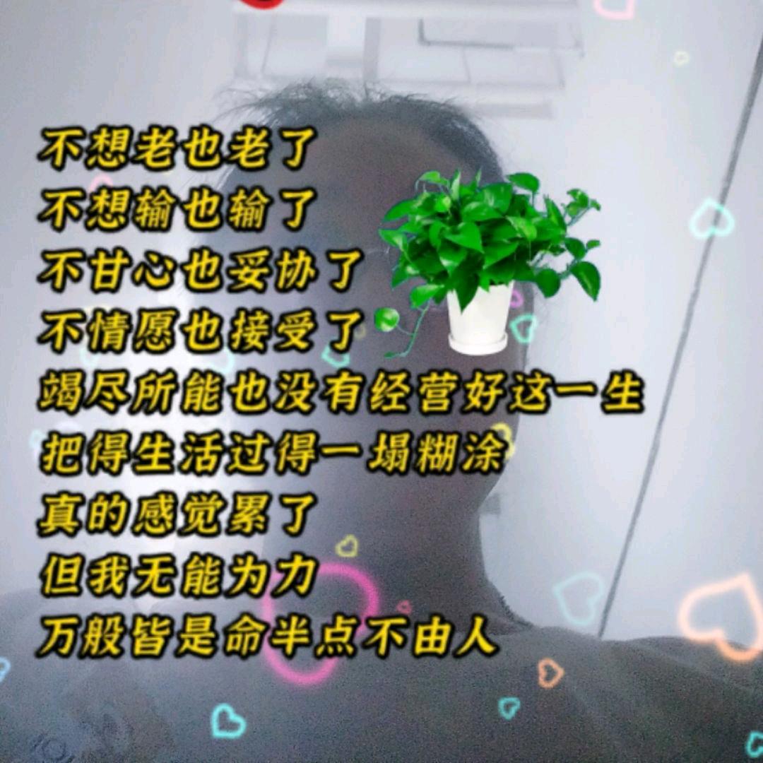 秋日华创