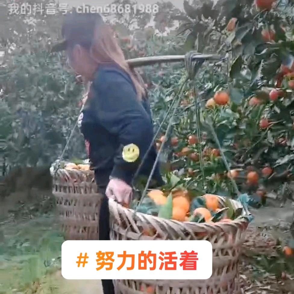 168一路发，4.2米货车跑遍全国