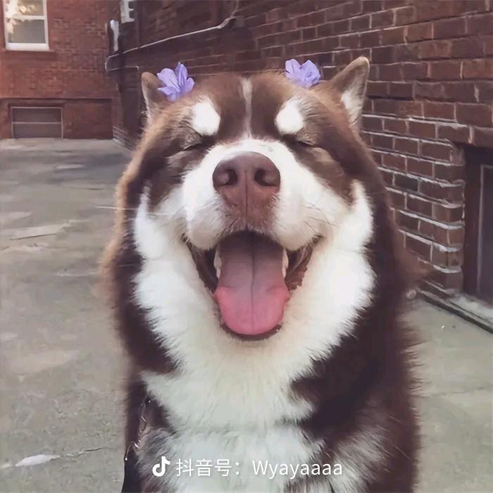 三多的世界