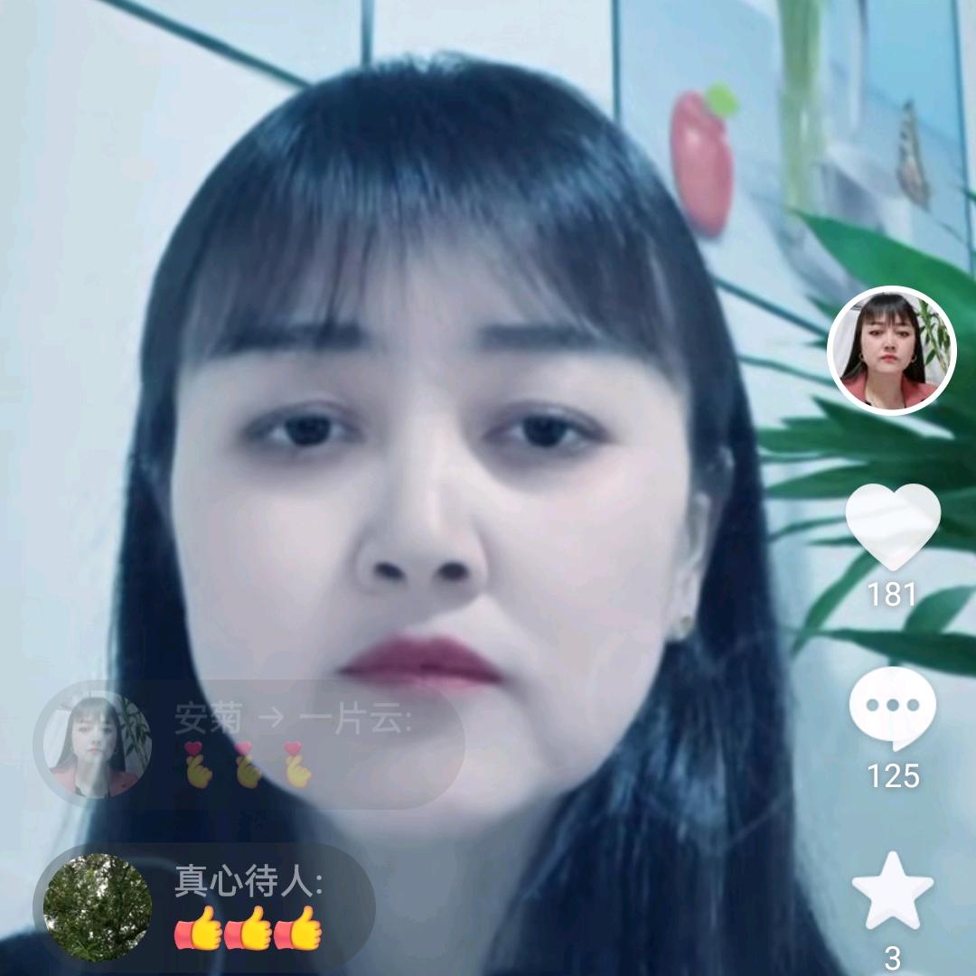 安菊