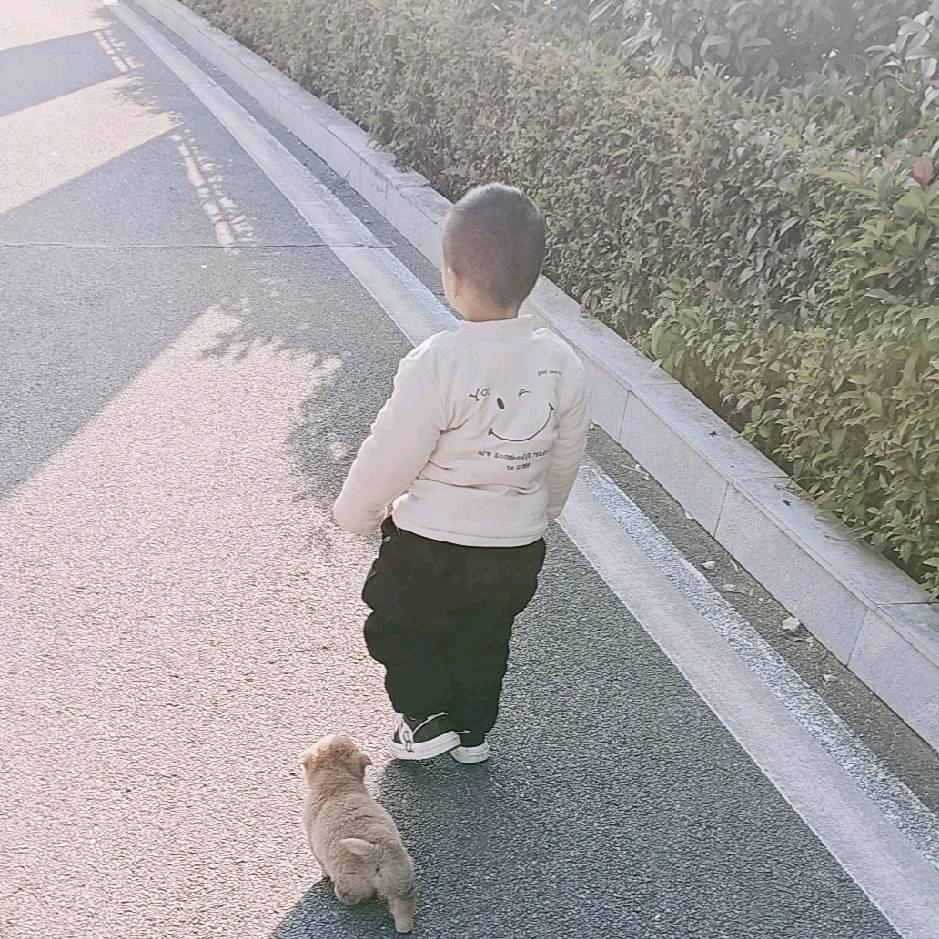十柒
