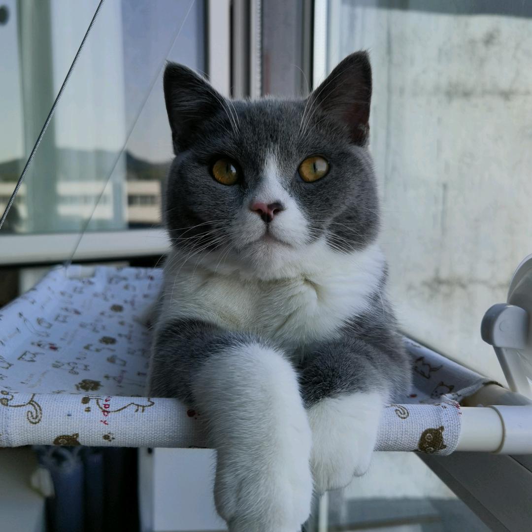 往日时光ᥫᩣ෴