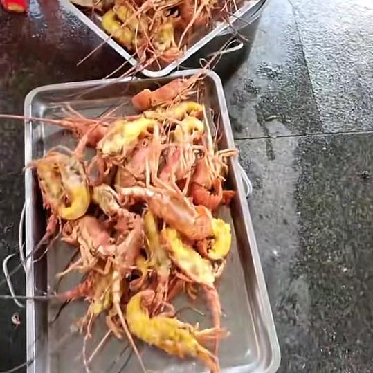 幸运鼠