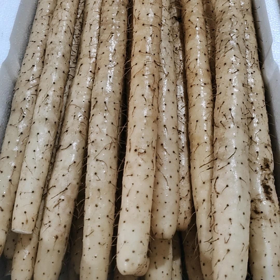 专做小白嘴山药