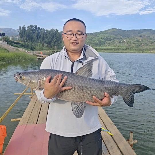 大波子爱钓鱼