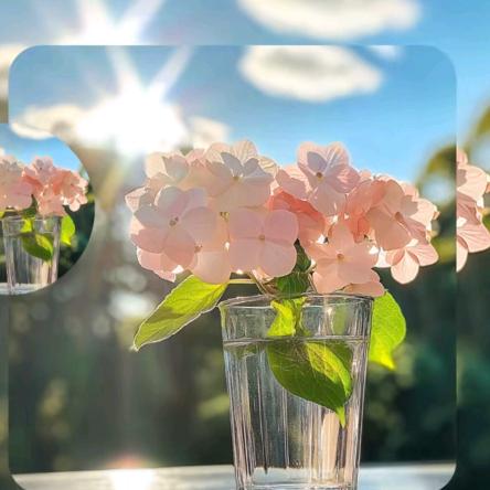 孙少玉：“通迅好友🐮房产经纪人牛姐”