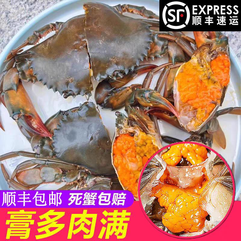 英策优选