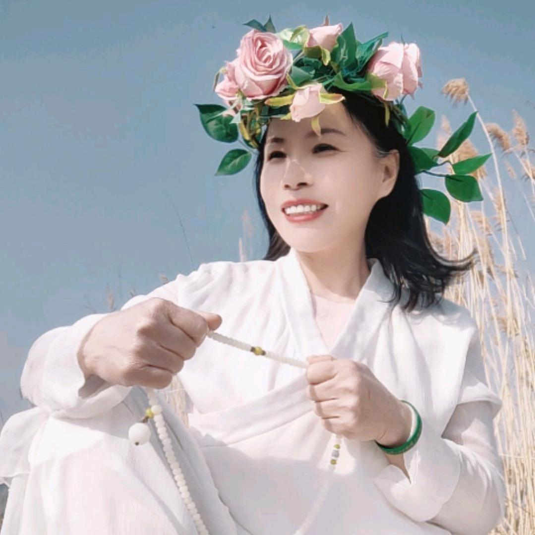 禅舞了然