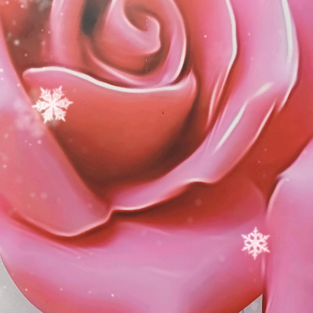 万能李哥为你开路