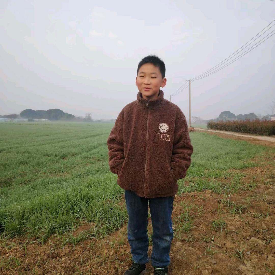晨宝