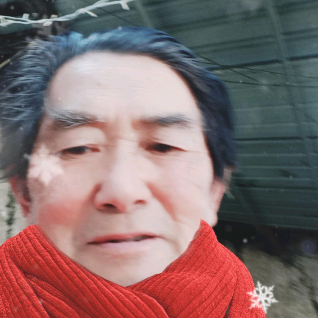 飞仙