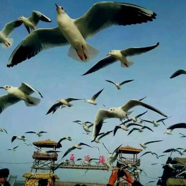 越野老兵之沙海游侠