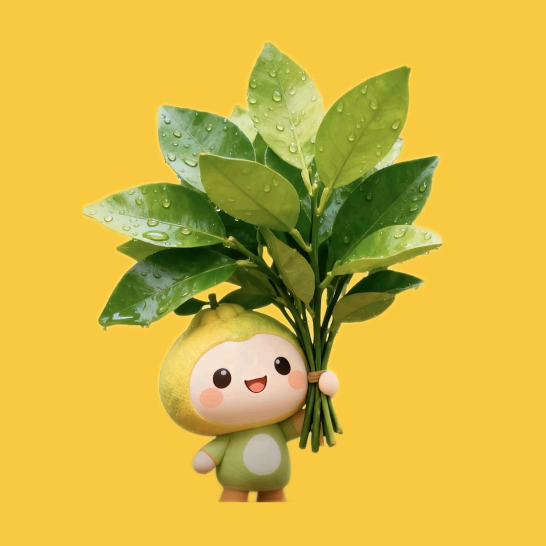 🌺一叶小方周🌱