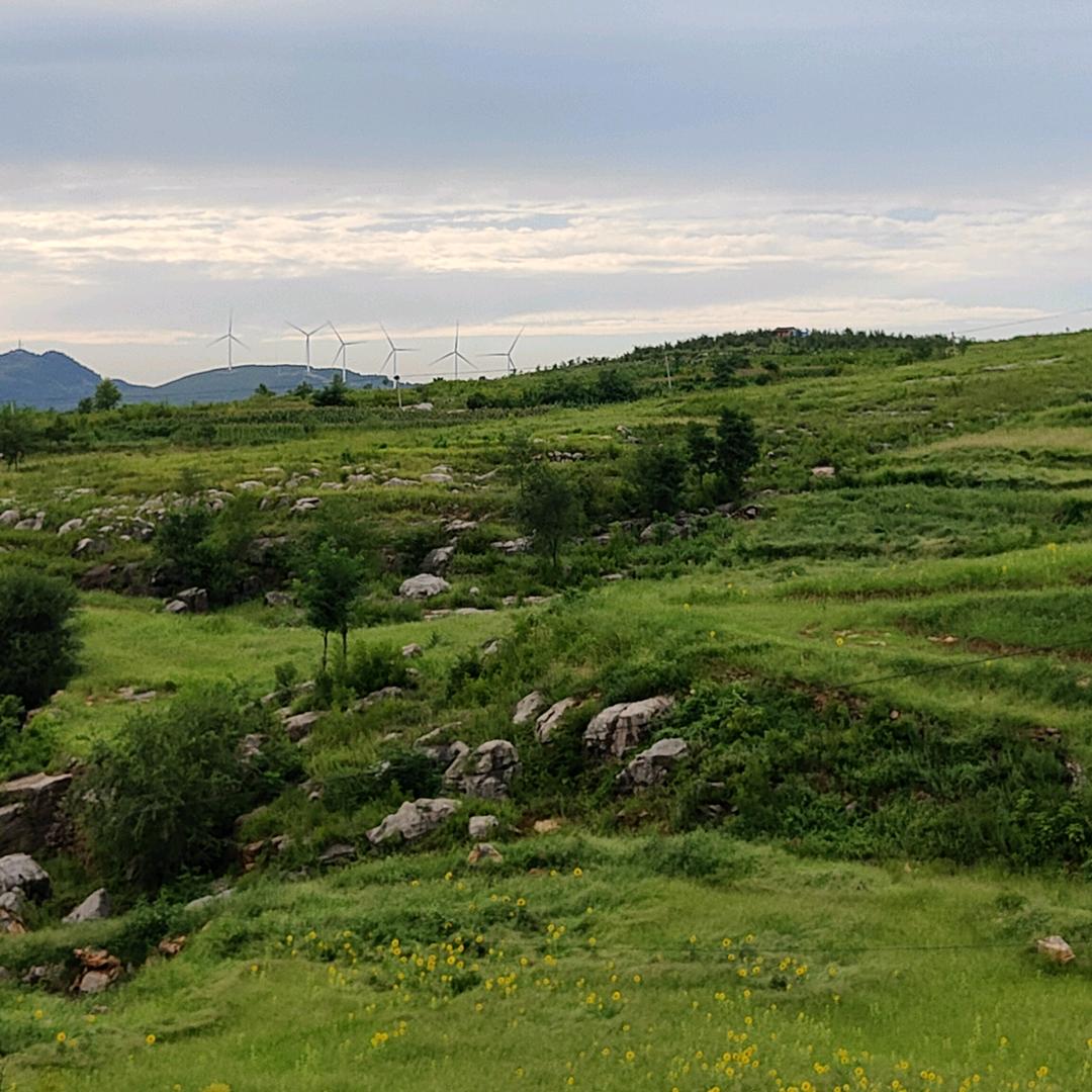 石英砂源头厂家