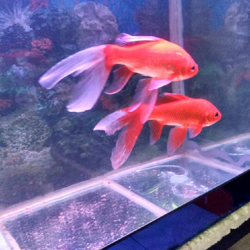 顺风顺水
