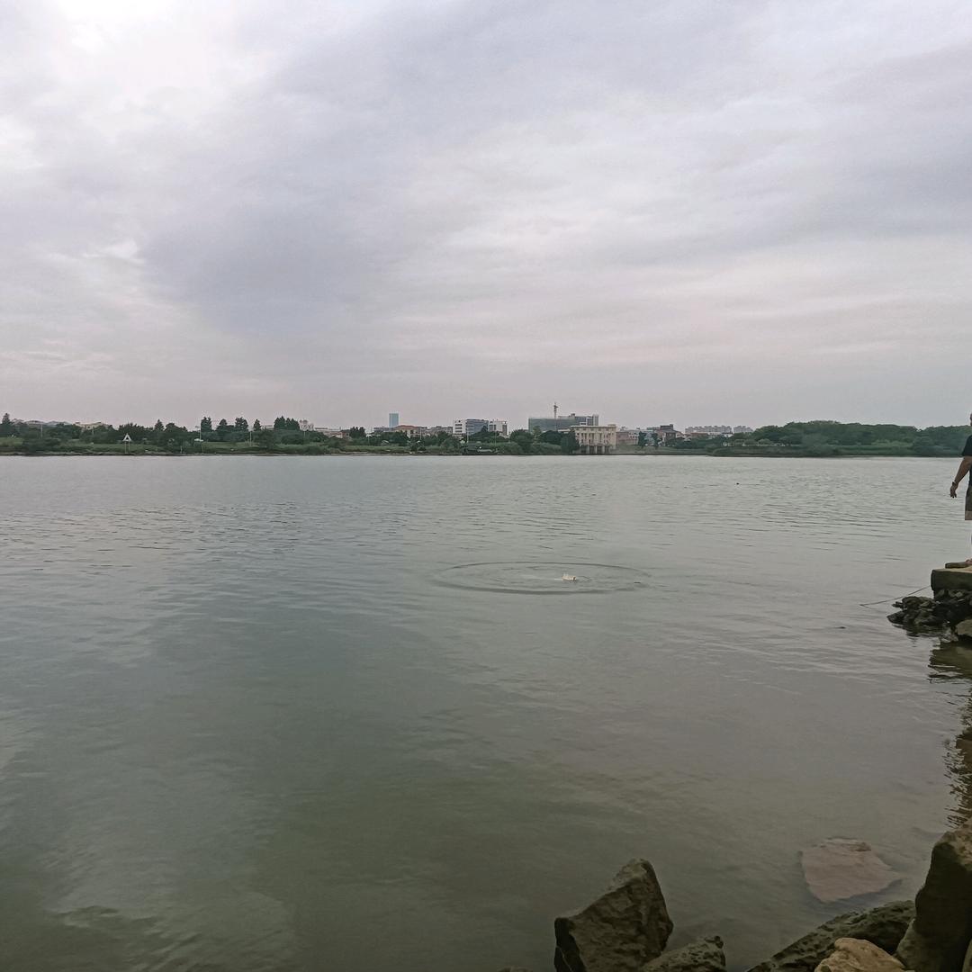 伤心的泪，为爱停留