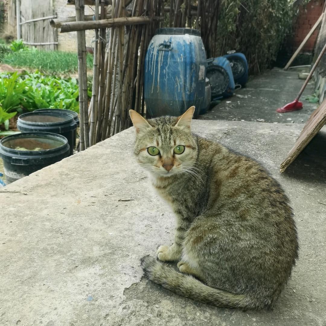 扫尽尘埃