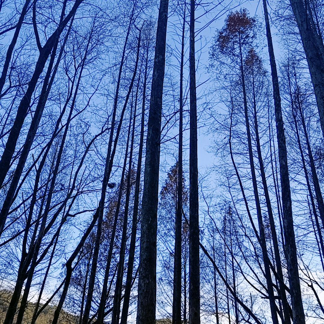 ღᩚ᭄ 㜂孞ৡᩚ࿐゛