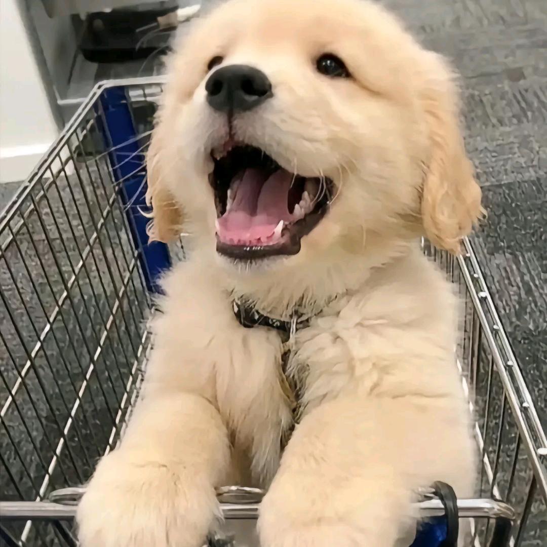 再玩绝密航天剁手