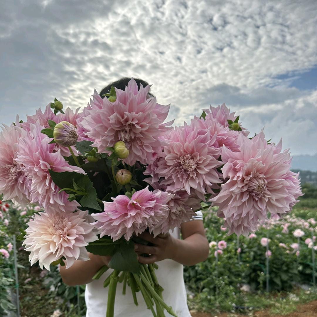 篱夏农场  杰哥