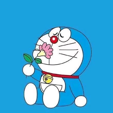 邓彦红