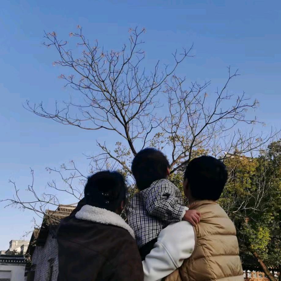 一只小呆瓜🎊