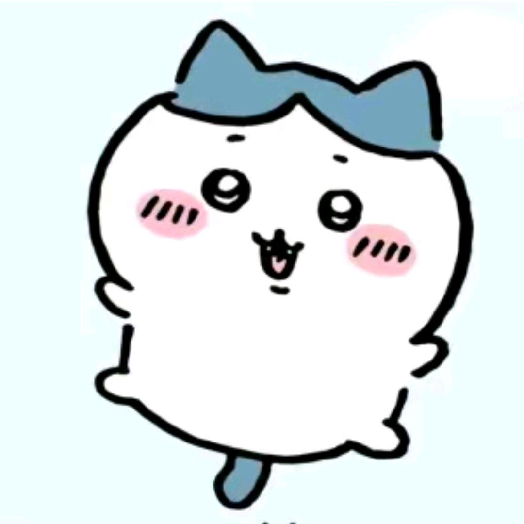小八崽
