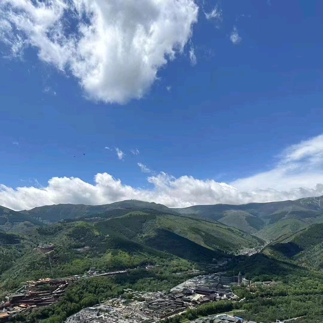 要文