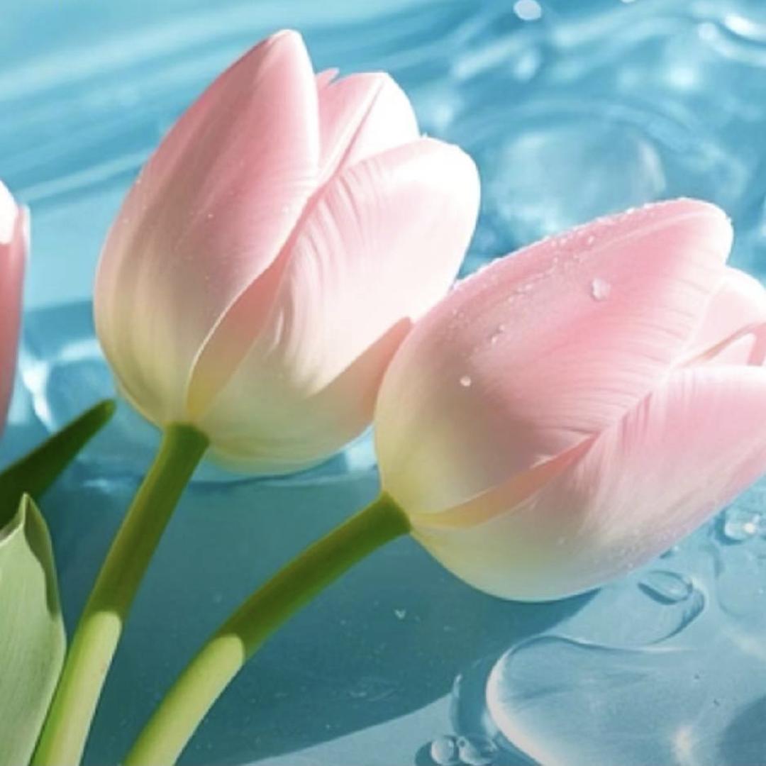 ★※☆♡重庆♡☆★※