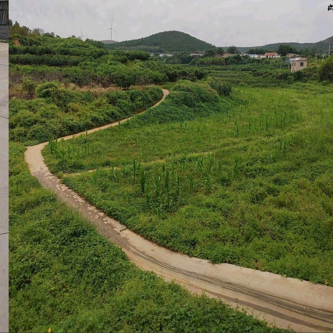 …静水流深…