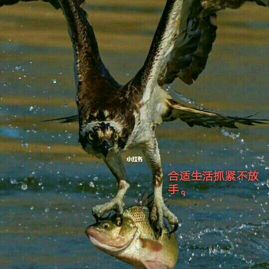 孤单真心人，