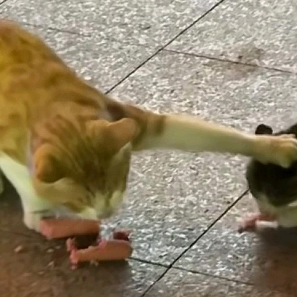 让我们一起数星星吧