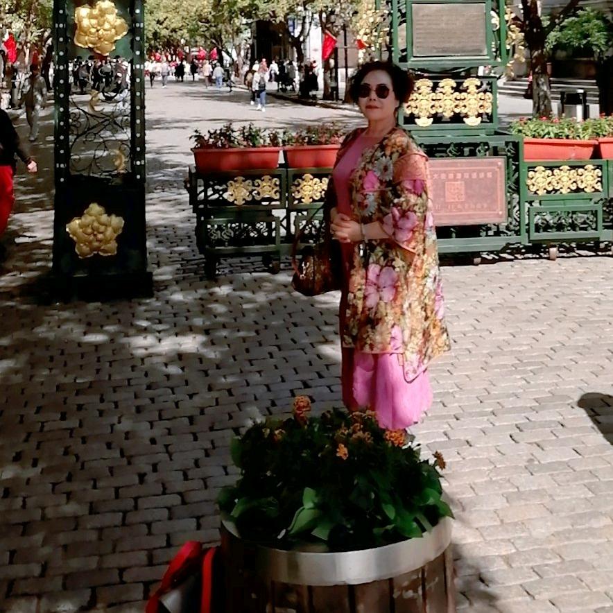 🌸美丽人生🌸