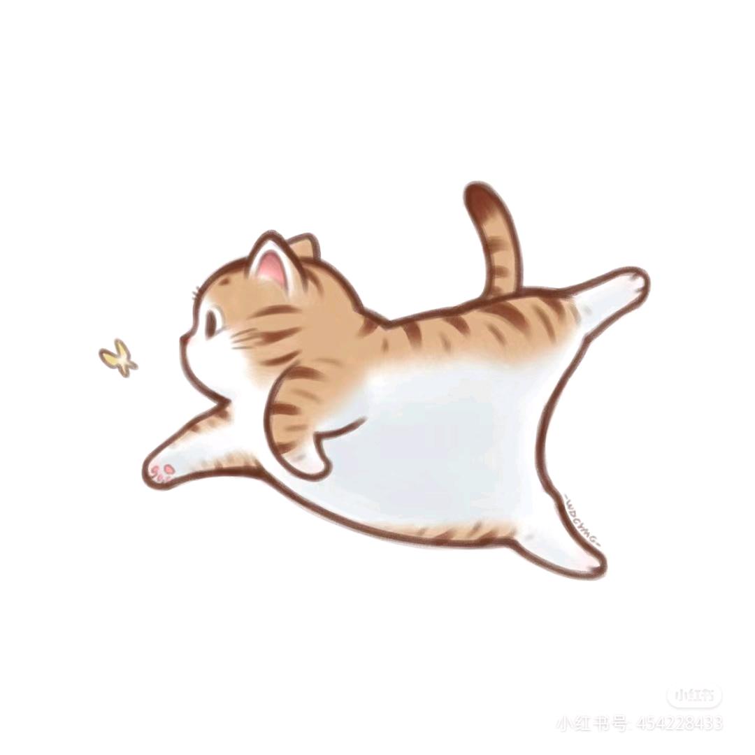 。。。。。