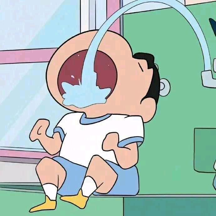 泰迪毛