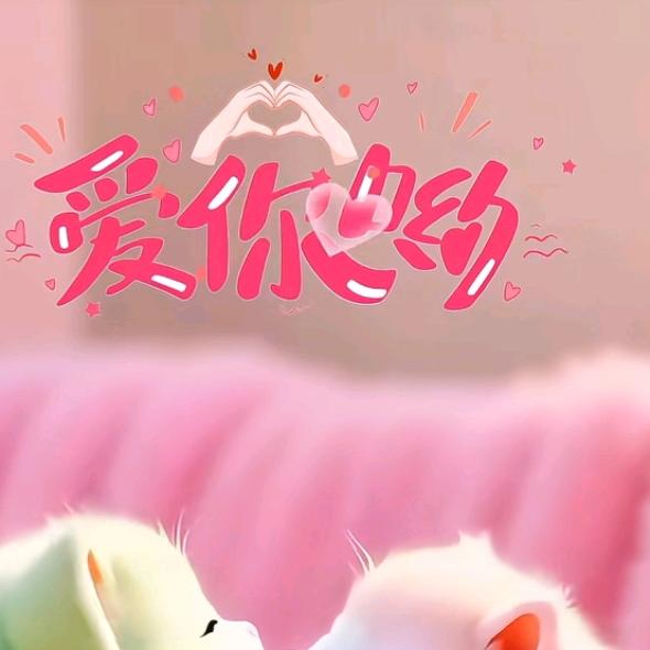 💦东北小张💥