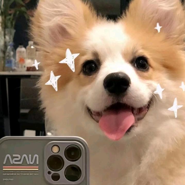 西米樊