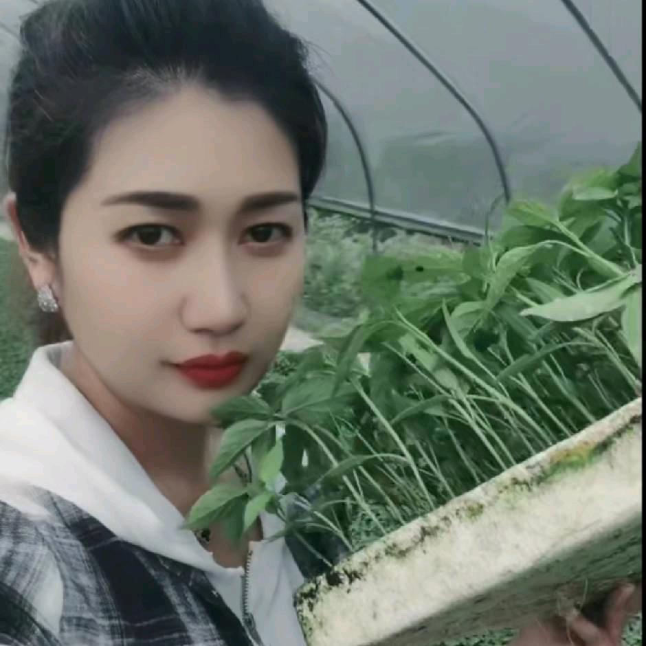 遵义川黔唢呐队