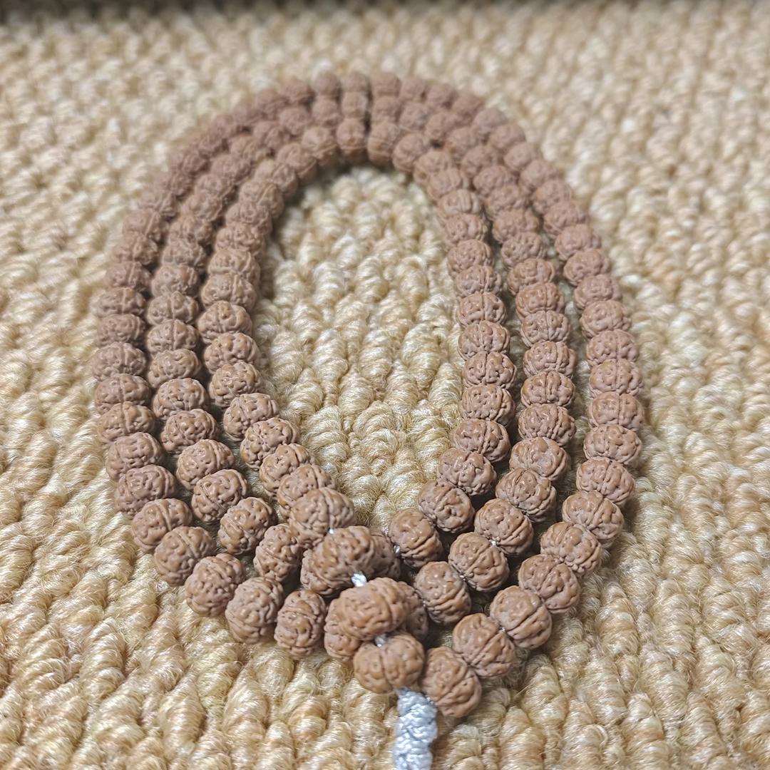 宁哥菩提精选