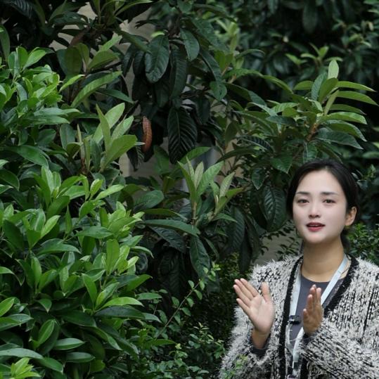 艳姐（种植，收购 中草原材料）