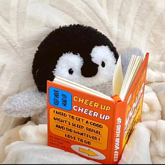 🌈🌈恰～恰🌈