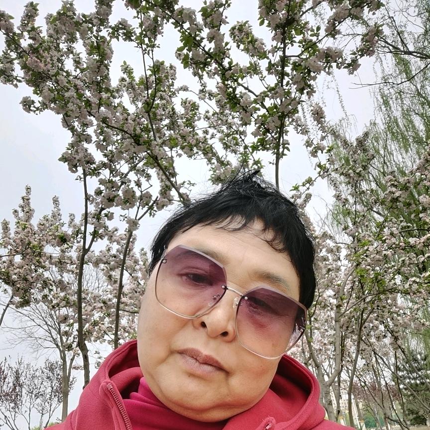 如意姐